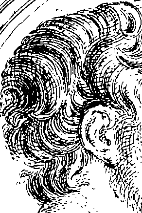 096/096180020000250_0.png