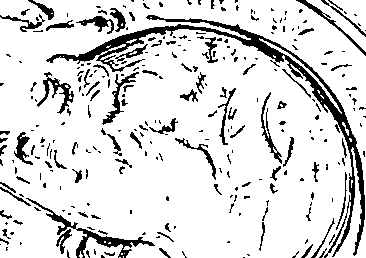 096/096180020000270_0.png