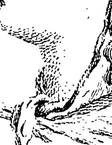 096/096180020000430_0.png