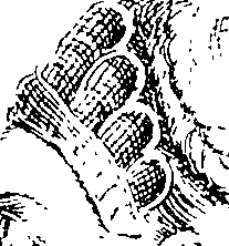 096/096180020000550_0.png