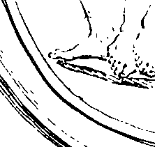 096/096180020000630_0.png