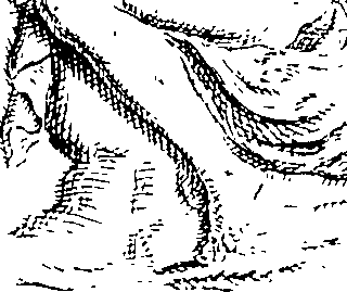 096/096180020000670_0.png