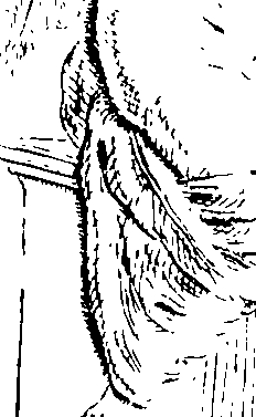096/096180020000810_0.png