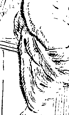 096/096180020000820_0.png