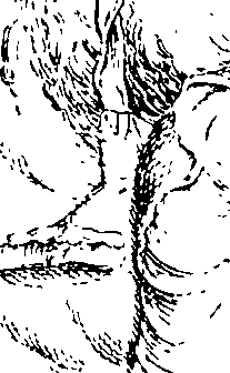 096/096180020000850_0.png