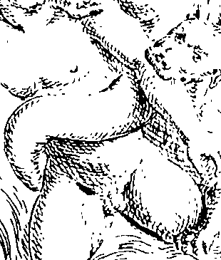 096/096180020000920_0.png