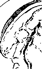 096/096180020000970_0.png