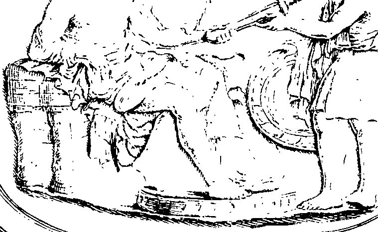 096/096180020000980_0.png