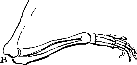096/096200020001160_1.png