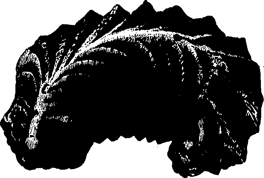 096/096200100000130_0.png