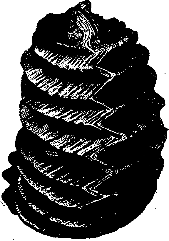 096/096200100000130_1.png