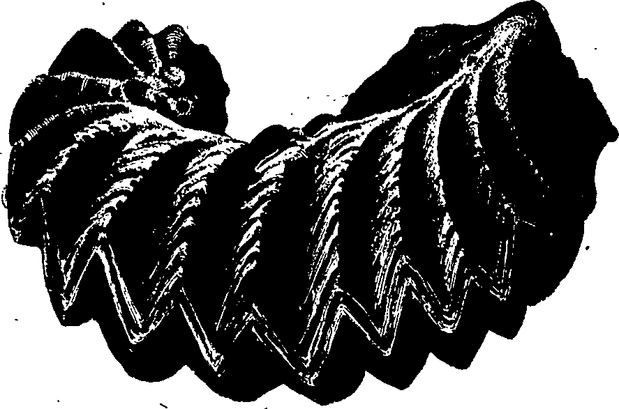 096/096200100000130_2.png