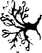 096/096230050000010_0.png