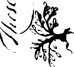 096/096230050000010_1.png