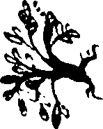 096/096230050000010_2.png