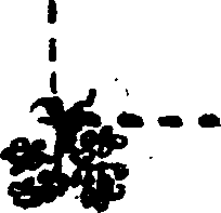 096/096230050000020_1.png