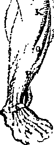 096/096240060000230_0.png