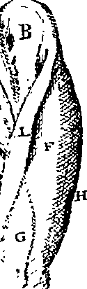 096/096240060000230_1.png