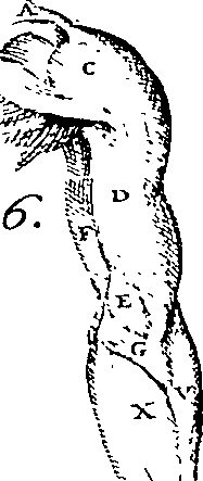 096/096240060000230_2.png