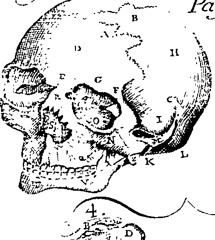 096/096240060000230_3.png