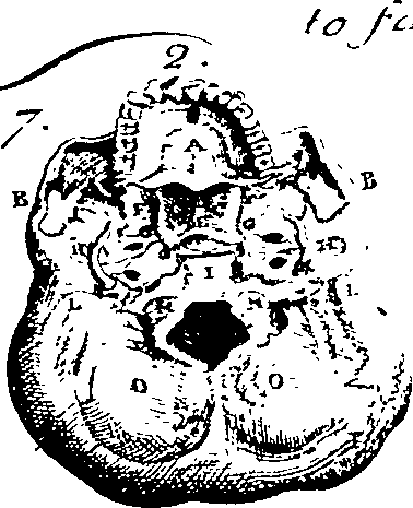 096/096240060000230_4.png