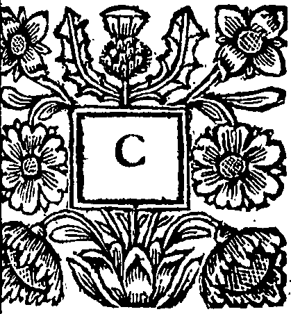 096/096250010000040_0.png