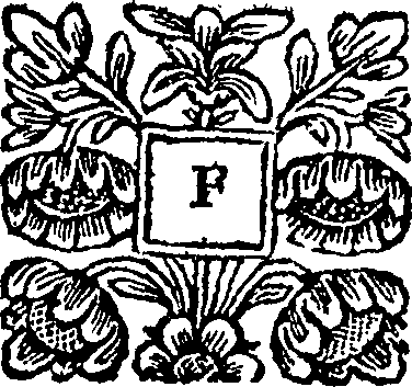 096/096250010000440_0.png