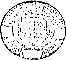 096/096420010000230_0.png