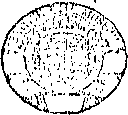 096/096420010002510_0.png