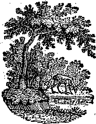 096/096420020000670_0.png