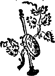 096/096420020000750_0.png