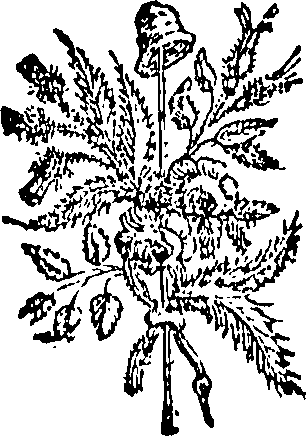 096/096420020001330_0.png