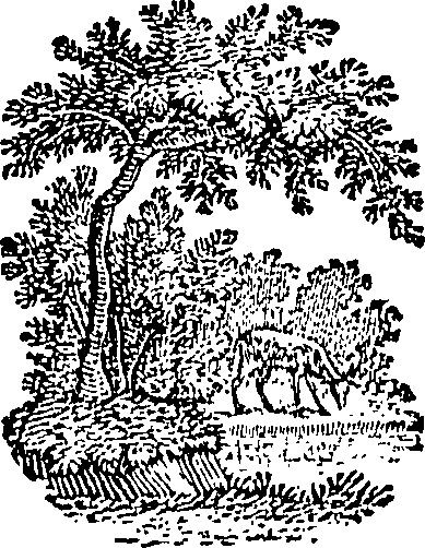 096/096420020001770_0.png
