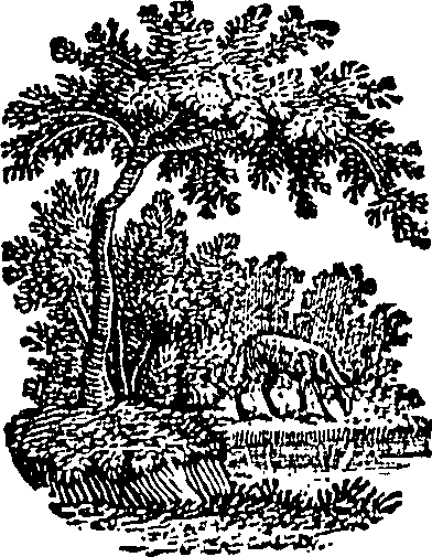 096/096420020002420_0.png