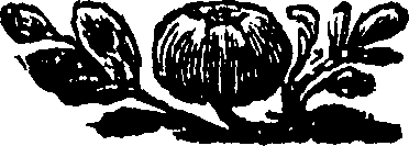 096/096460050200080_0.png