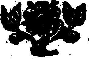 096/096460050302480_0.png