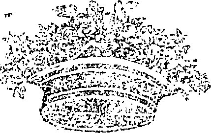 096/096510070000920_0.png