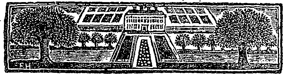 096/096520020600080_0.png