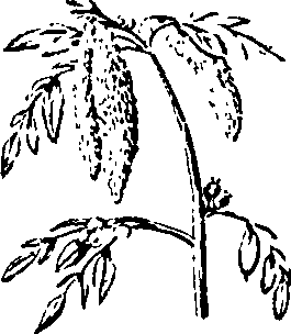 096/096540010003830_0.png