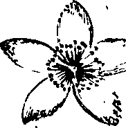 096/096540010003830_1.png
