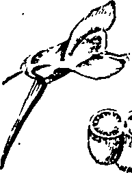 096/096540010003830_3.png