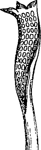 096/096540010004290_0.png