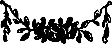 096/096570050000330_0.png