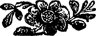 096/096580060000100_0.png