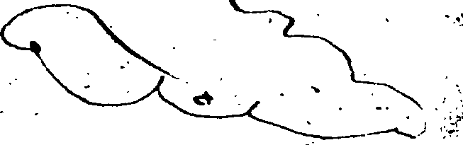 096/096630070001110_0.png
