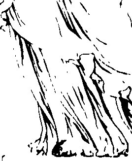 096/096680190000030_0.png