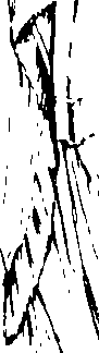 096/096680190000030_1.png