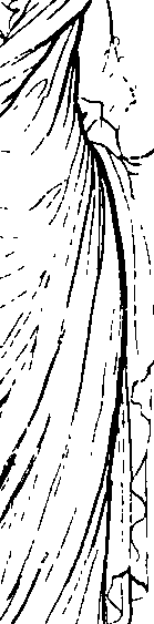 096/096680190000060_0.png