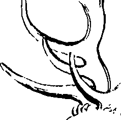 096/096680190000090_0.png