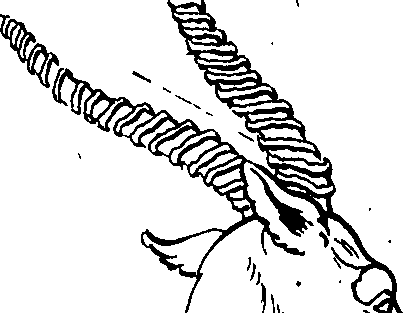 096/096680190000100_3.png